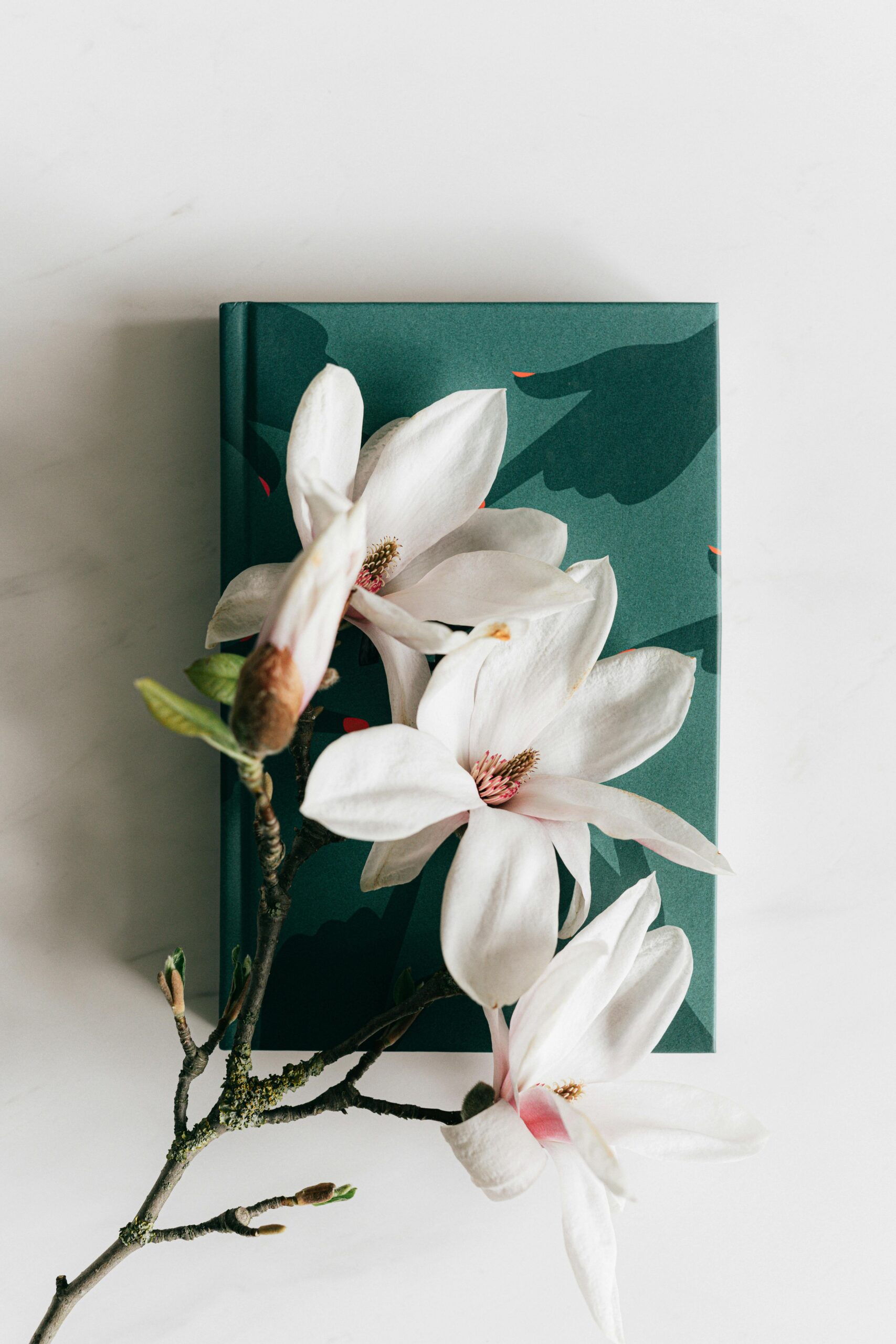 A delicate arrangement of magnolia flowers resting on a green notebook, offering a serene aesthetic.